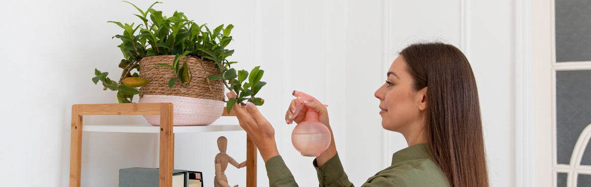 Vertical Gardening