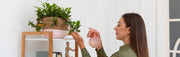 Vertical Gardening