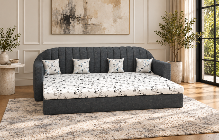Sofa Cum Beds