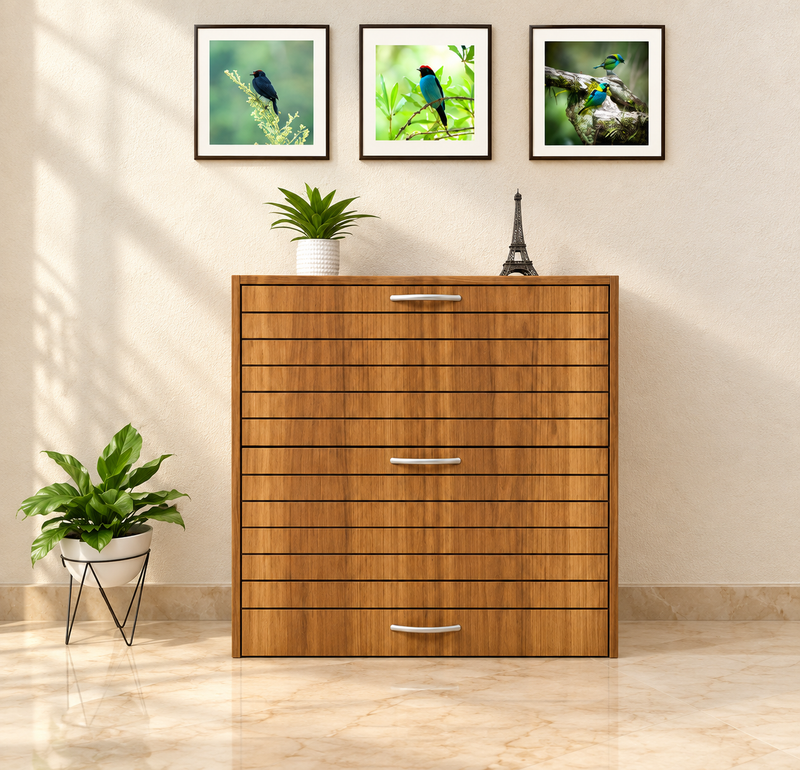 Jean Duo – Sleek & Modern Shoe Rack for Stylish Storage
